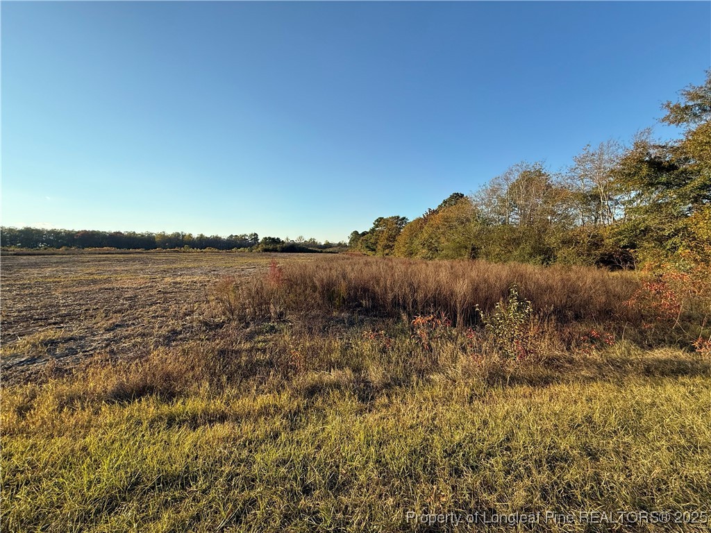 4083 Collier Road Wade, NC 28395 - Photo 4 of 10 a view of an ocean and beach