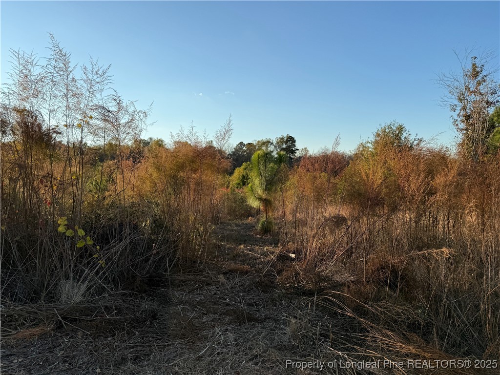 4083 Collier Road Wade, NC 28395 - Photo 8 of 10 a view of a yard