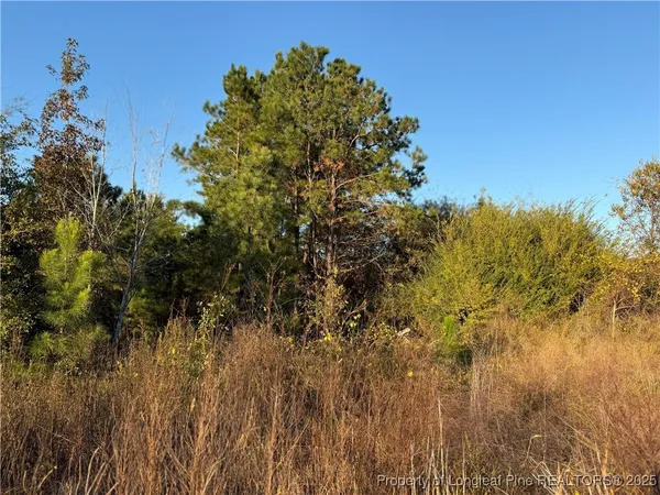 a view of a tree in a field of a house