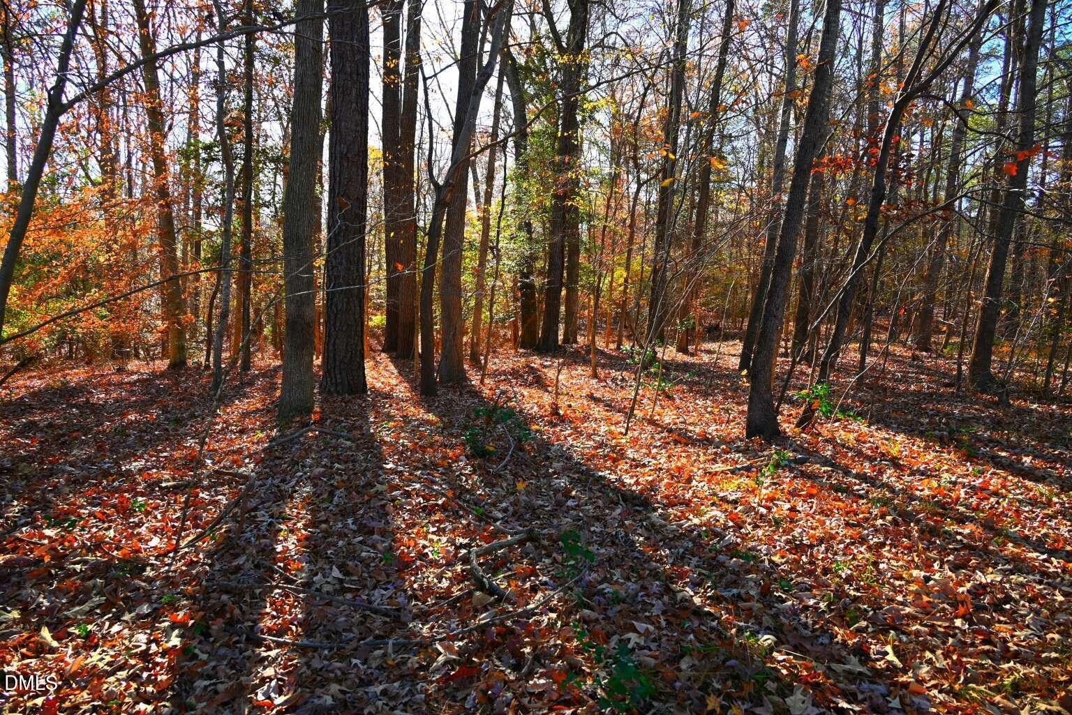 0 Creedmoor Road Wake Forest, NC 27587 - Photo 1 of 20 a view of outdoor space with lots of trees