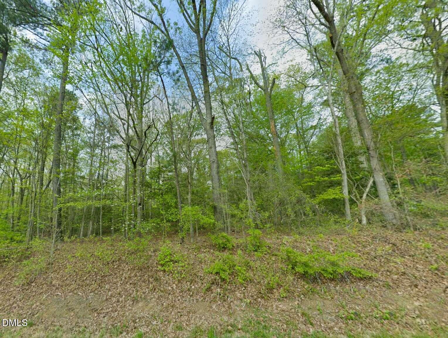 0 Creedmoor Road Wake Forest, NC 27587 - Photo 12 of 20 a view of a forest