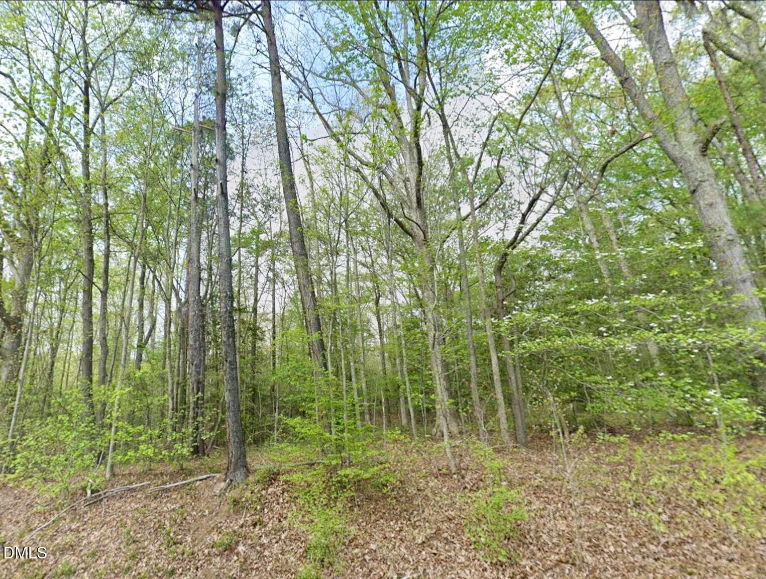 0 Creedmoor Road Wake Forest, NC 27587 - Photo 14 of 20 a view of a forest