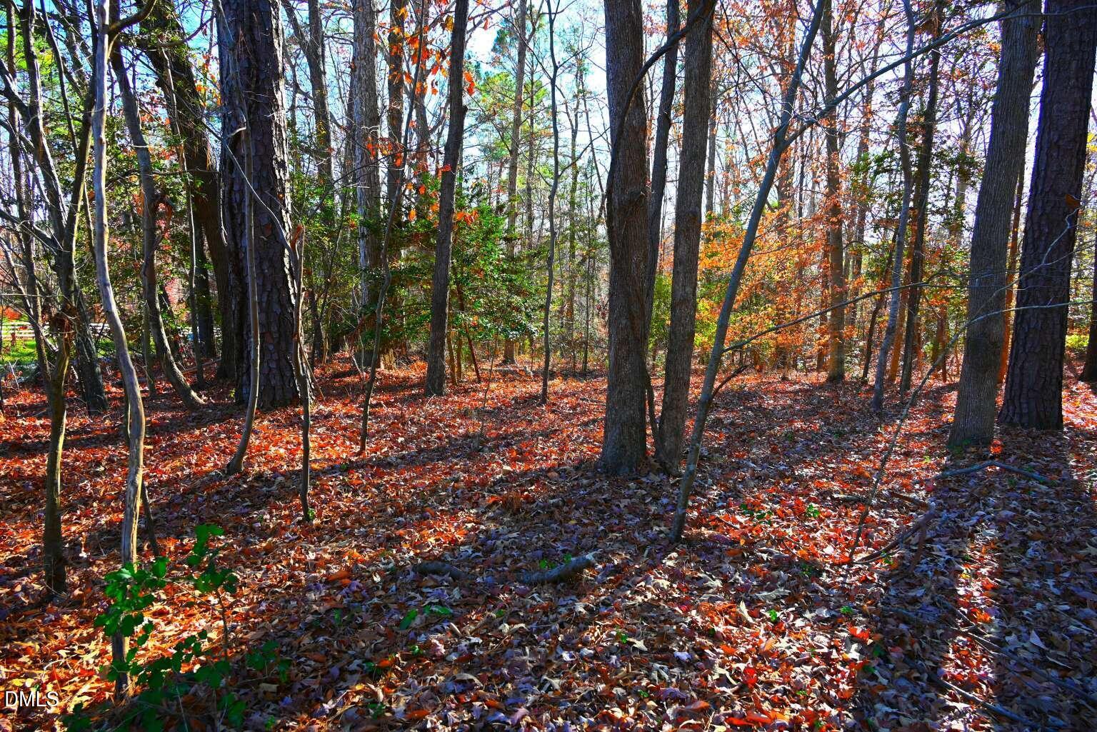 0 Creedmoor Road Wake Forest, NC 27587 - Photo 2 of 20 a view of outdoor space with lots of trees