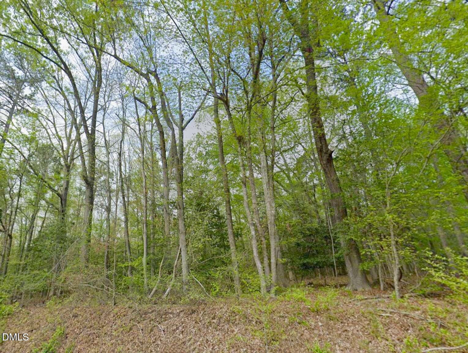 0 Creedmoor Road Wake Forest, NC 27587 - Photo 10 of 20 a view of a forest