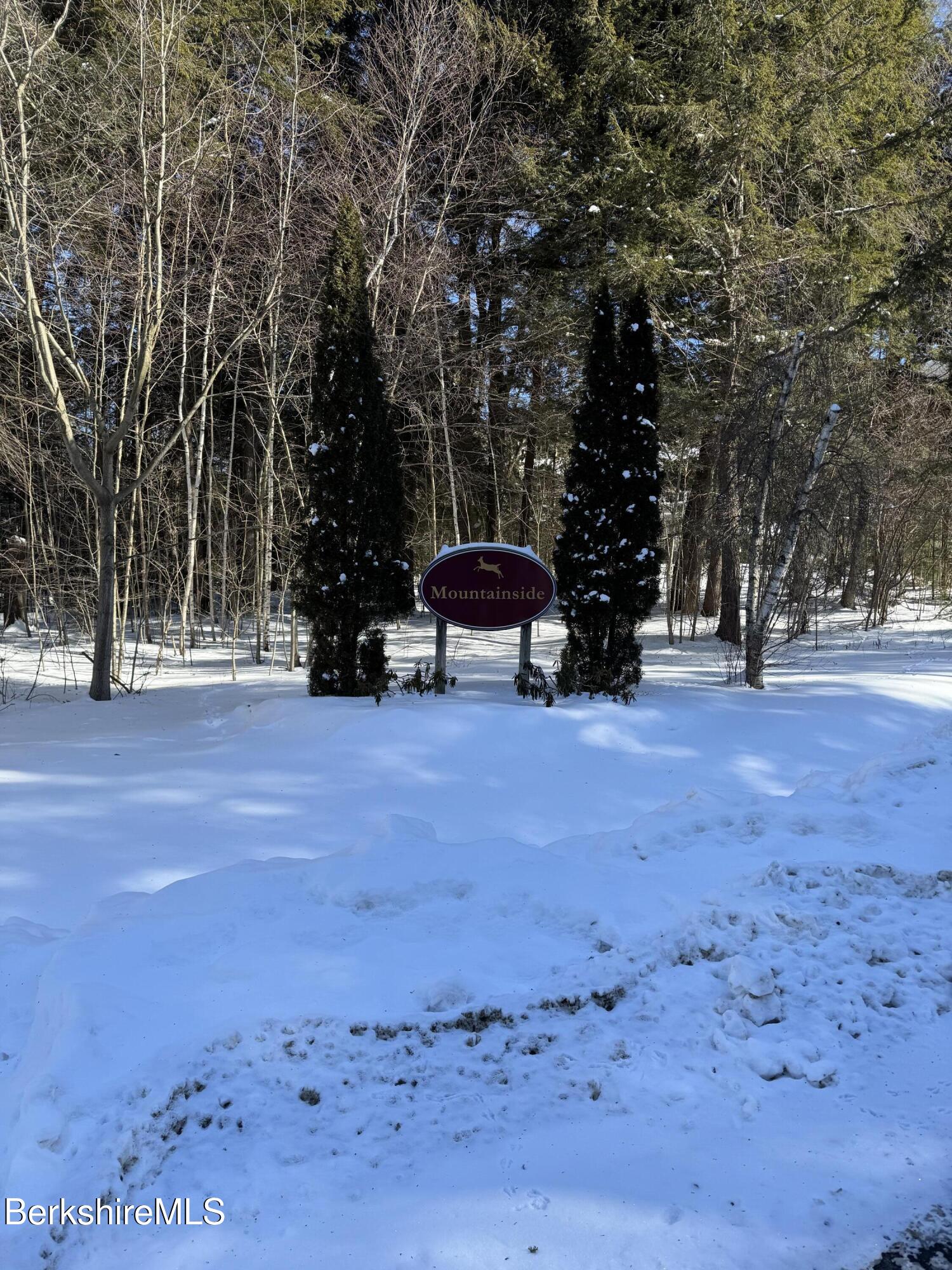 9063 Mountainside Drive Hancock, MA 01237 - Photo 1 of 50 Mountainside