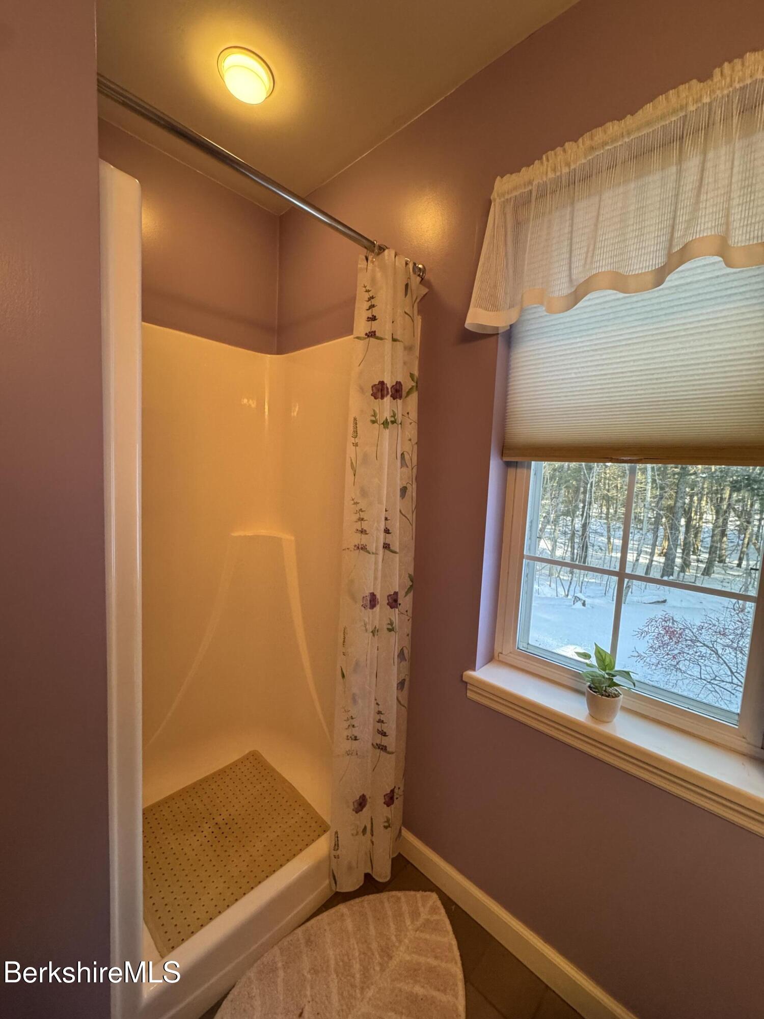 9063 Mountainside Drive Hancock, MA 01237 - Photo 11 of 50 IMG_2051