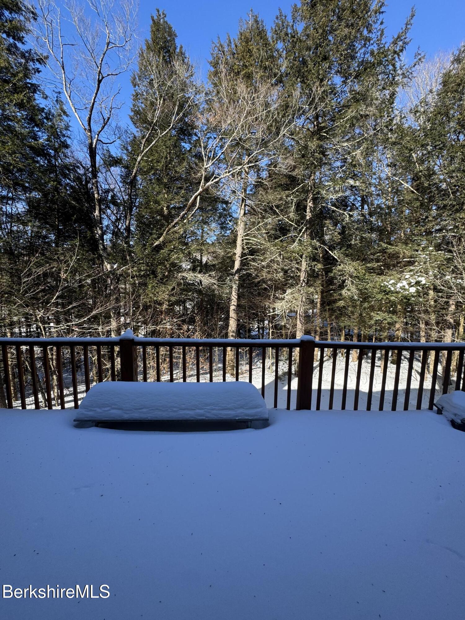 9063 Mountainside Drive Hancock, MA 01237 - Photo 20 of 50 IMG_2060