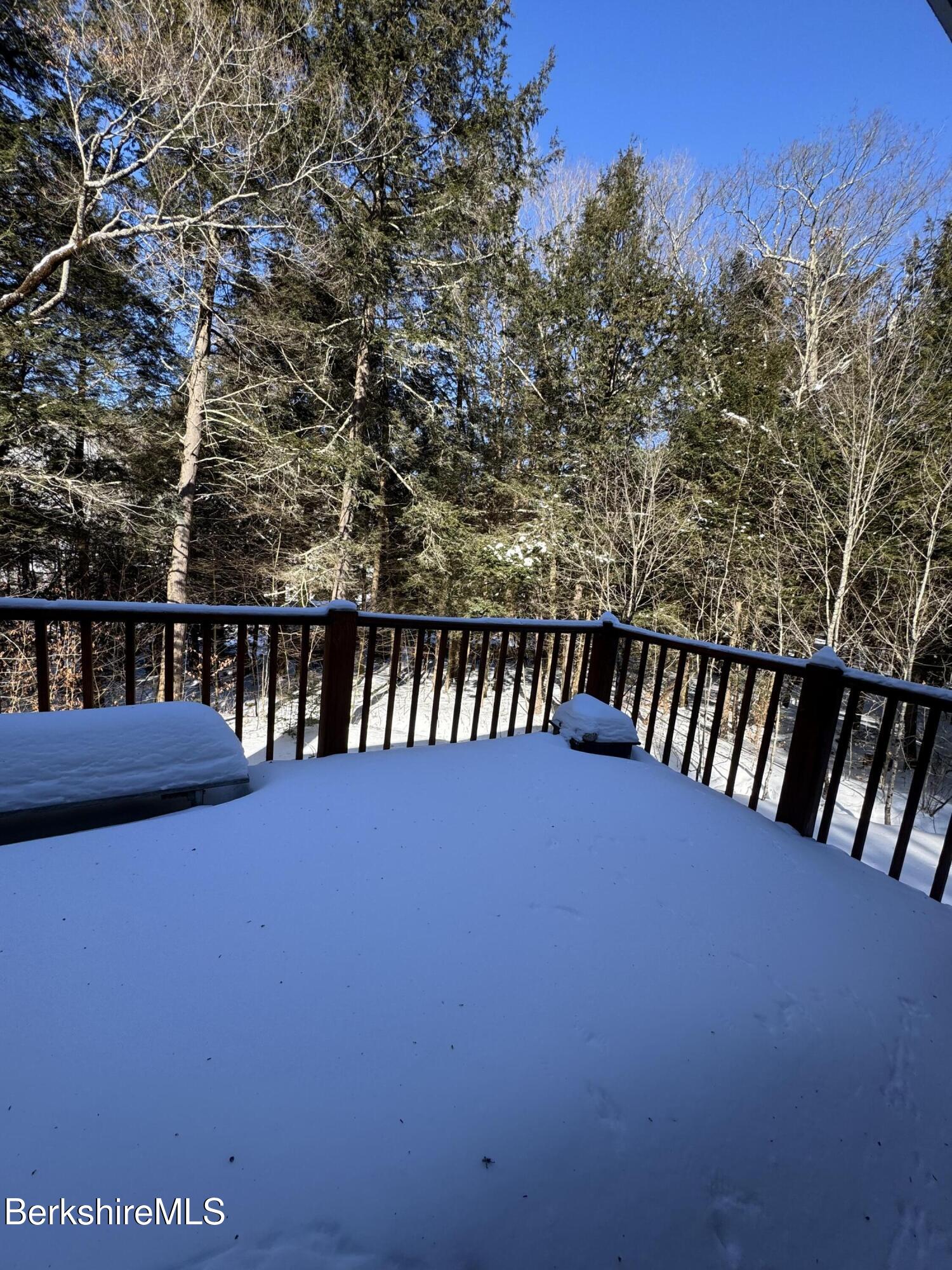 9063 Mountainside Drive Hancock, MA 01237 - Photo 21 of 50 IMG_2061