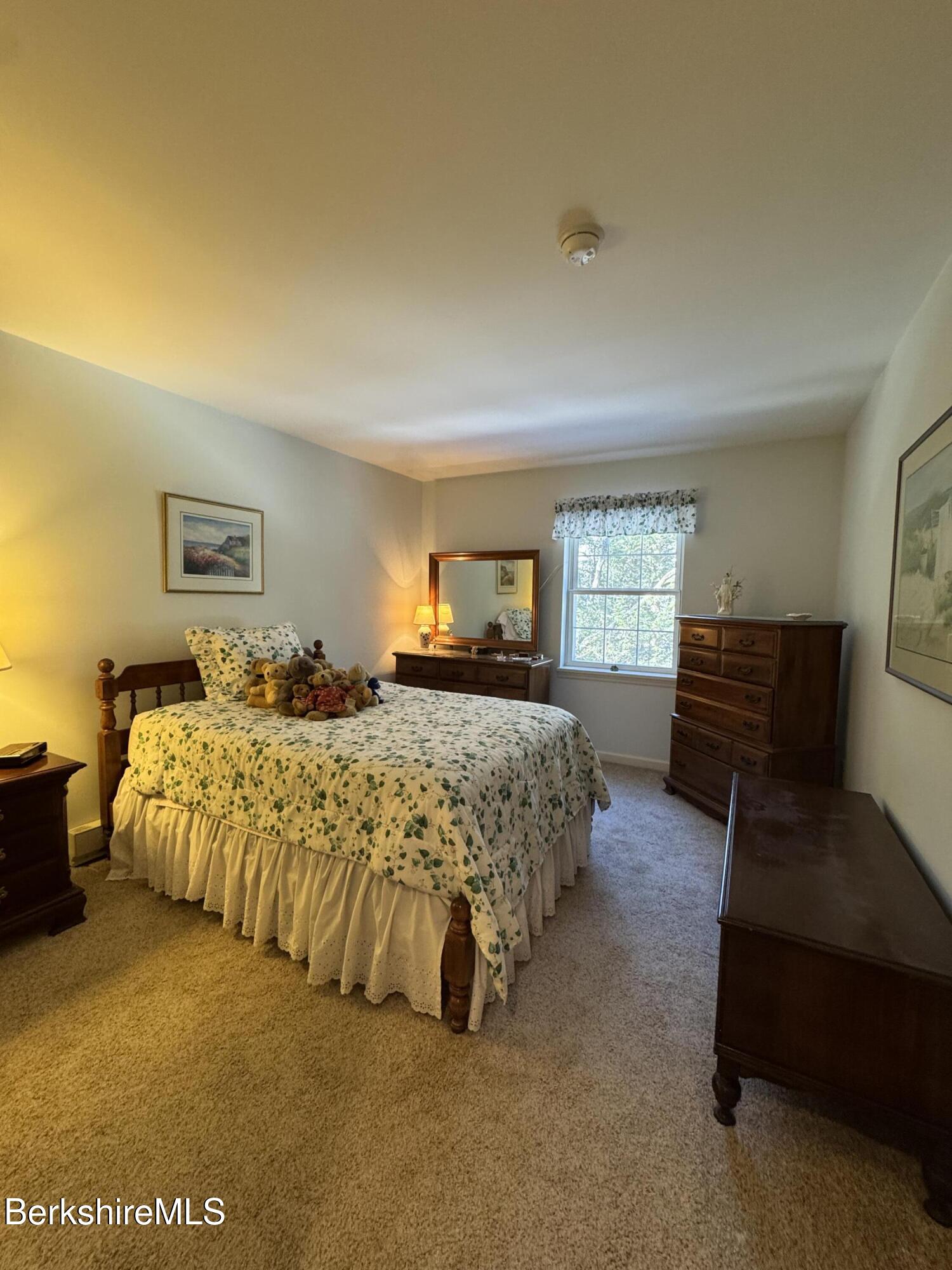 9063 Mountainside Drive Hancock, MA 01237 - Photo 36 of 50 IMG_2077