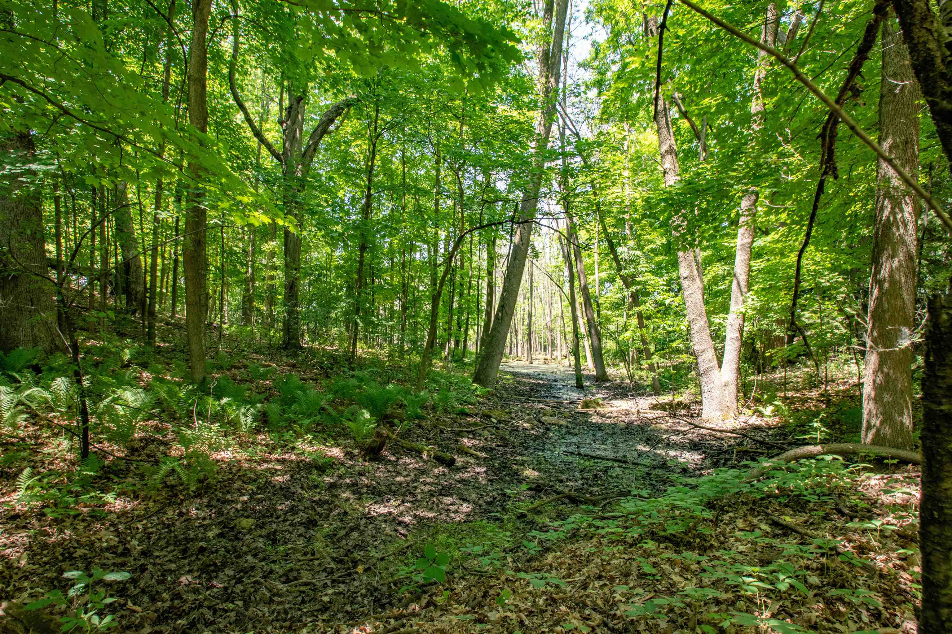 Hager Road Denmark, WI 54208 - Photo 5 of 15