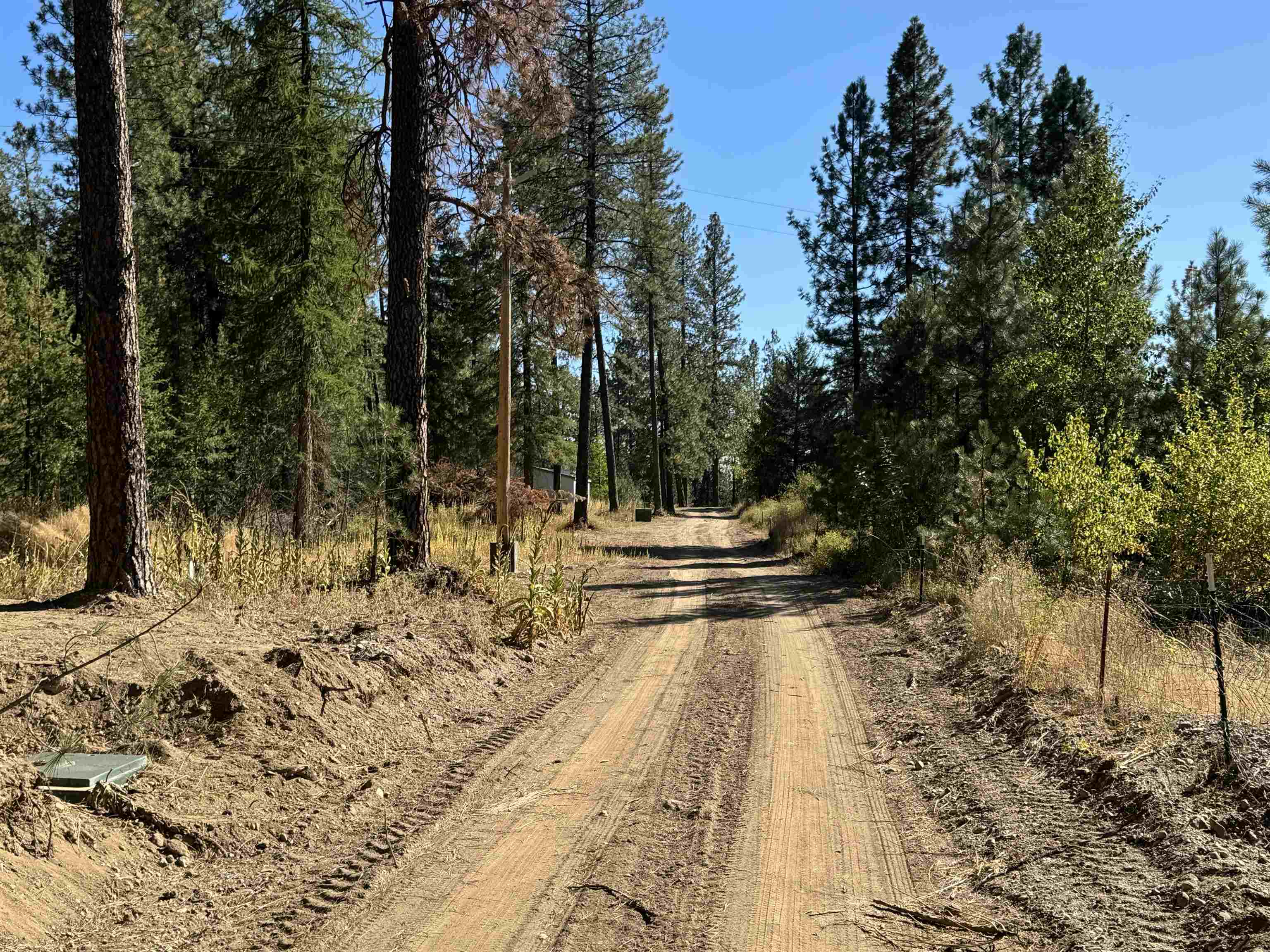 610 North A Street, Unit LOT #2 Springdale, WA 99173 - Photo 4 of 10