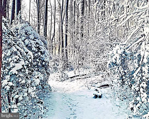 $2,175 | 156 Munsee Circle, Winchester, VA 22602