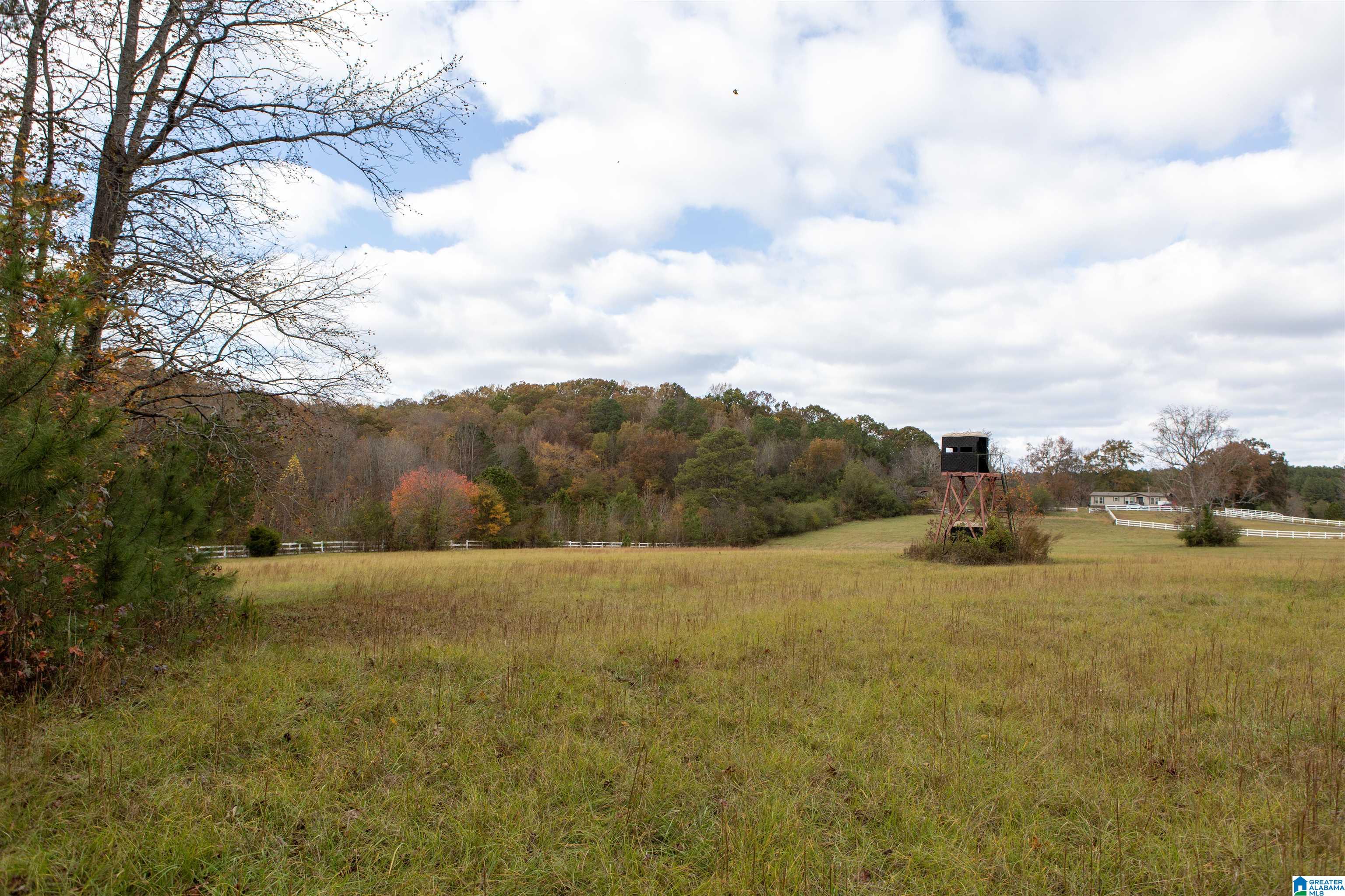 10543 Ford Valley Road Gadsden, AL 35905 - Photo 28 of 31