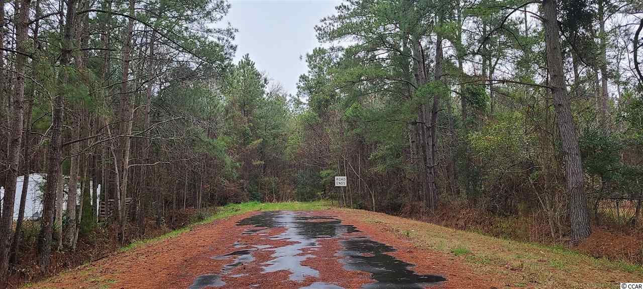 Tbd Nelson Road Little River, SC 29566 - Photo 1 of 5 Gallery Image 1