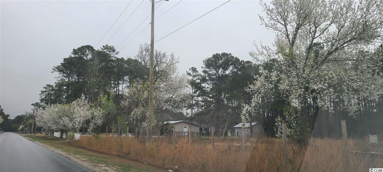 Tbd Nelson Road Little River, SC 29566 - Photo 4 of 5 Gallery Image 4