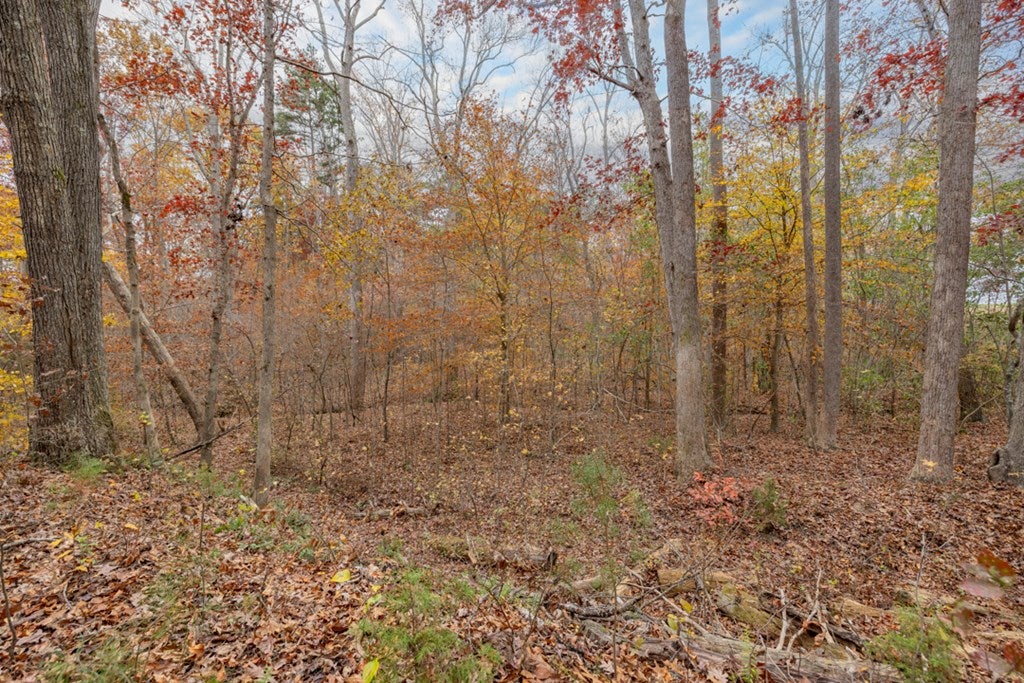 4810 Snead Spring Road Crewe, VA 23930 - Photo 43 of 58 Gallery Image 43