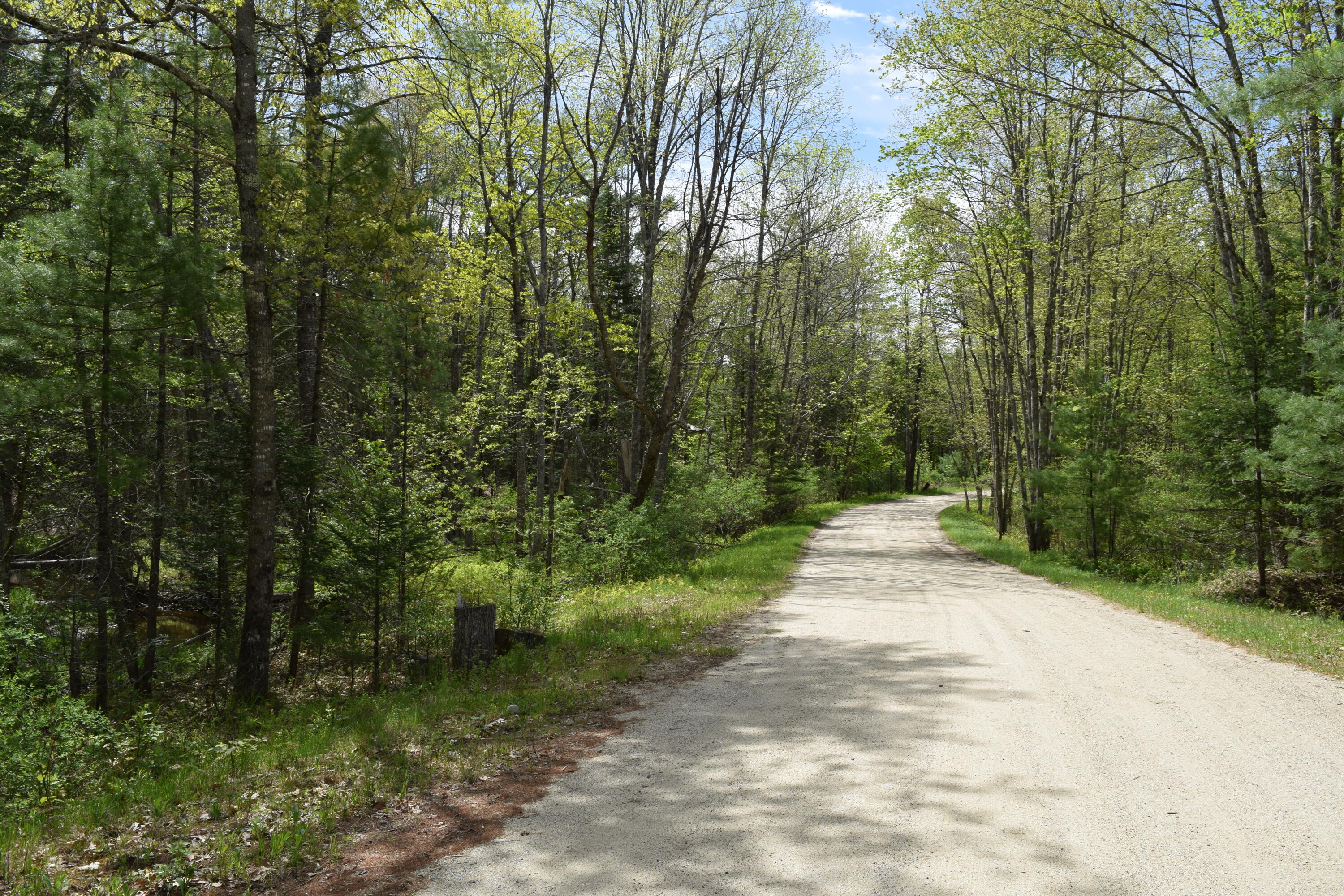 Lot #30 Potter Road Lisbon, ME 04252 - Photo 3 of 13 DSC_1228
