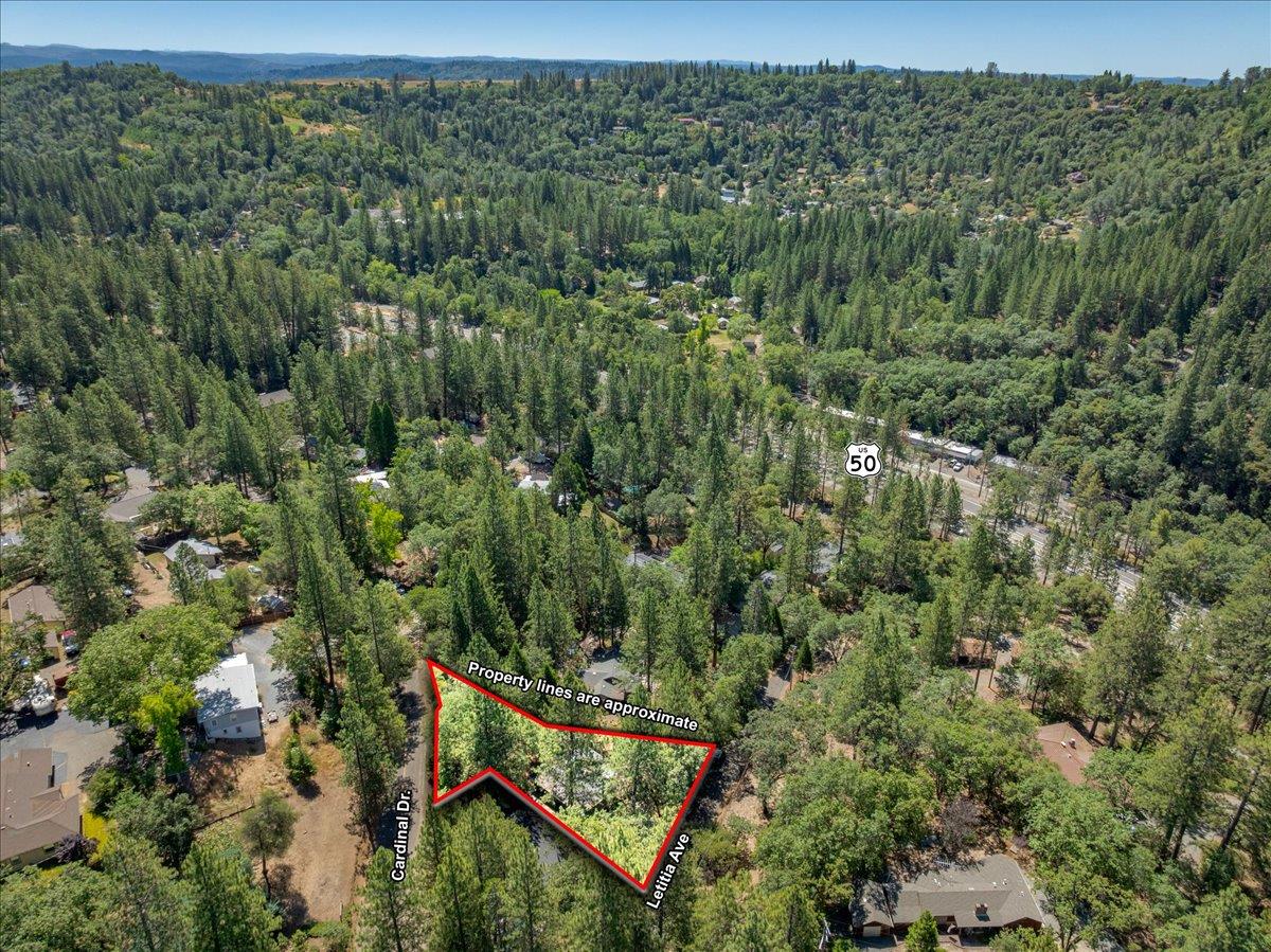 2939 Letitia Avenue Placerville, CA 95667 - Photo 50 of 59