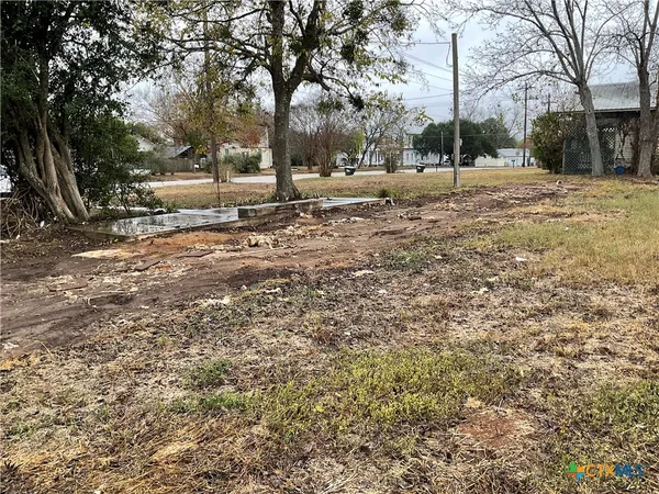 a view of dirt yard with a large tree