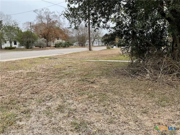 a view of a tree in the middle of a yard