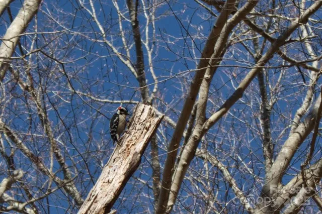 $39,900 | 0 Cinnamon Ridge, Unit 404, Rutherfordton, NC 28139