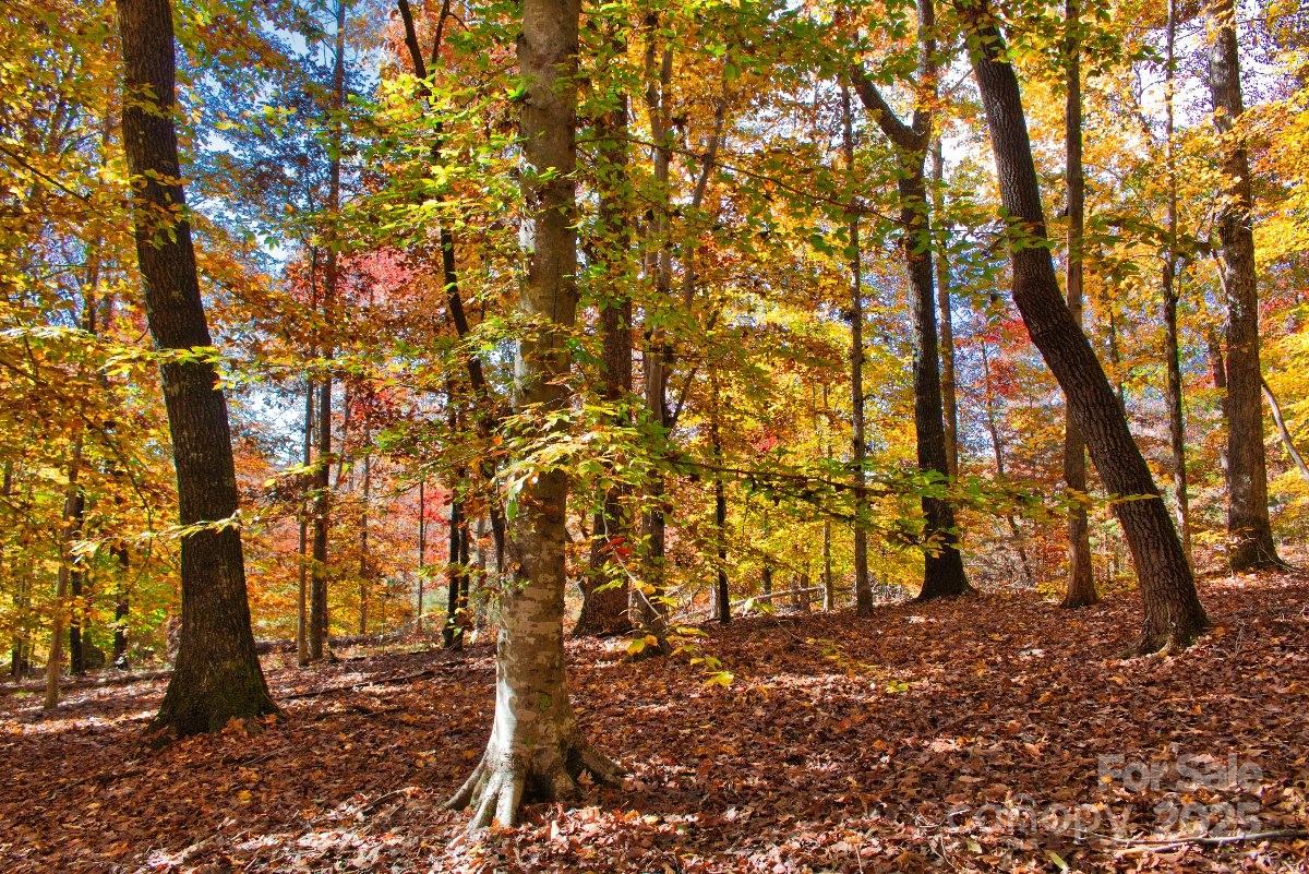 0 Cinnamon Ridge, Unit 404 Rutherfordton, NC 28139 - Photo 6 of 6