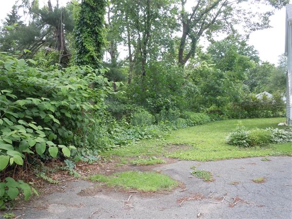 961 Wilbraham Road Springfield, MA 01109 - Photo 14 of 14 Gallery Image 14