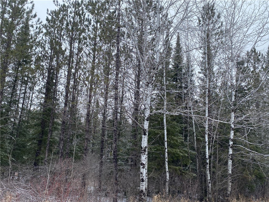 On Sorenson Road Iron River, WI 54847 - Photo 2 of 5
