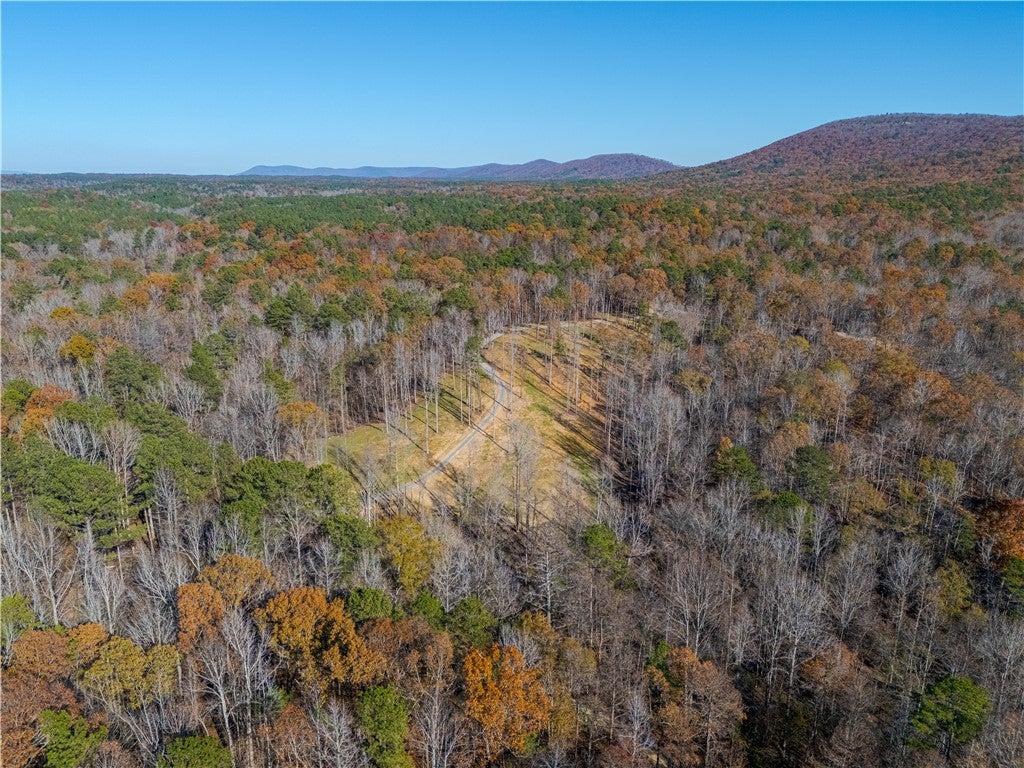 4245 Union T Road Talladega, AL 35160 - Photo 37 of 49 Gallery Image 37