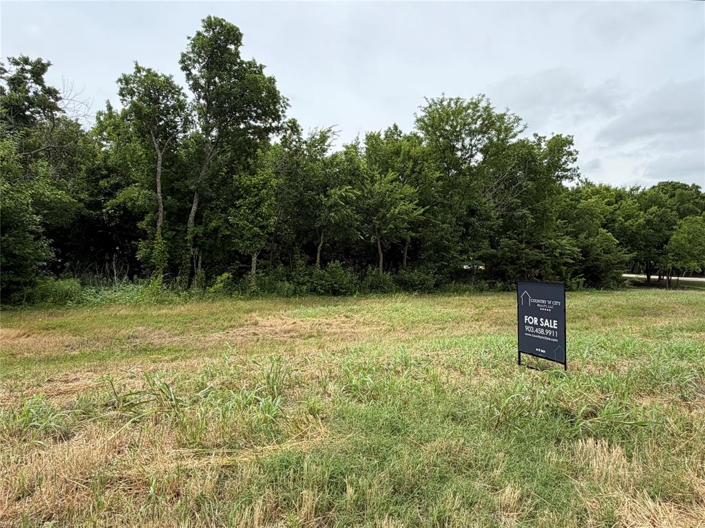 901 Clem Road Rockwall, TX 75087 - Photo 1 of 8