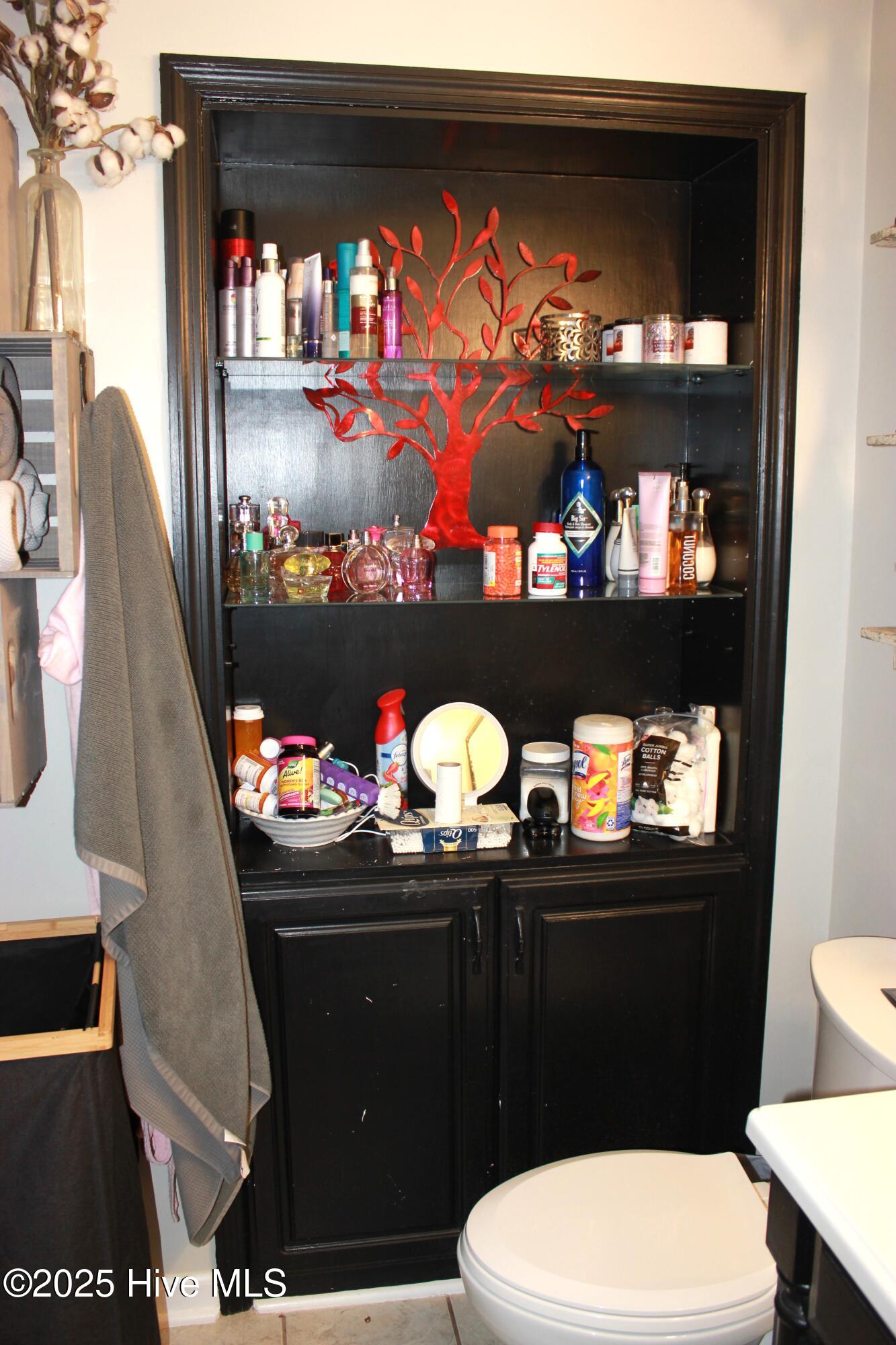 1033 Decatur Road Jacksonville, NC 28540 - Photo 13 of 37 Bath Built-in