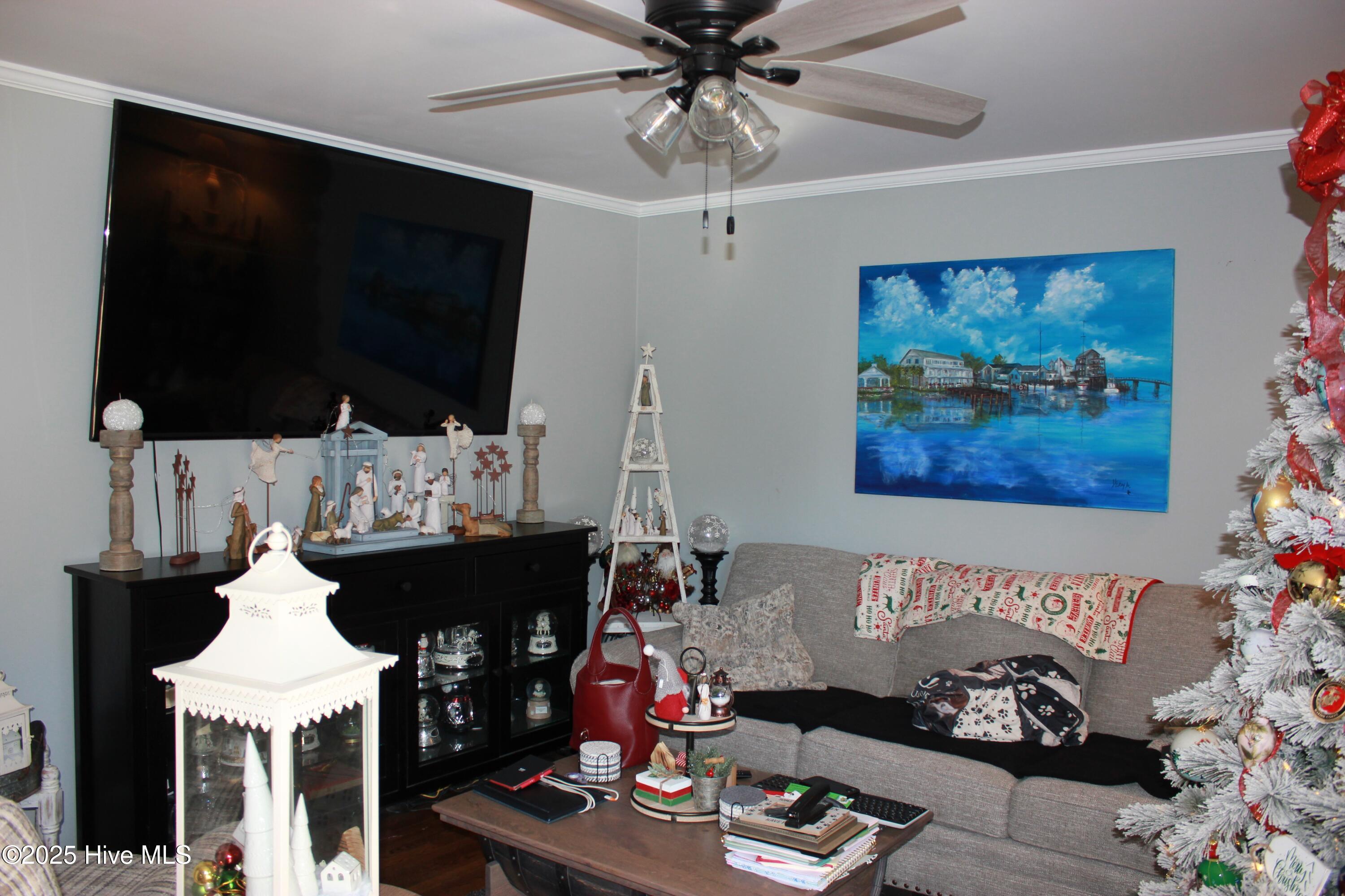 1033 Decatur Road Jacksonville, NC 28540 - Photo 3 of 37 Living Room