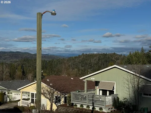 a view of a park with large trees