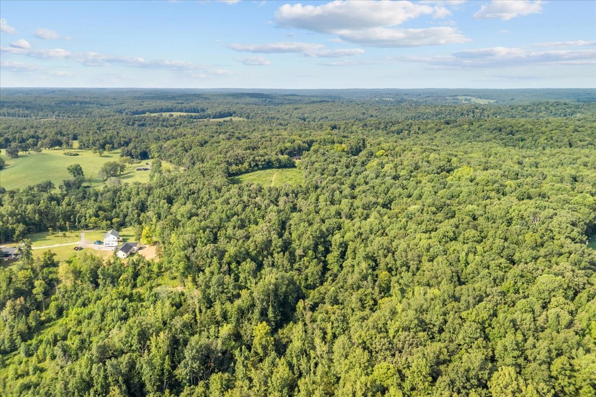 0 Kizer Ridge Road Erin, TN 37061 - Photo 13 of 20 Gallery Image 13
