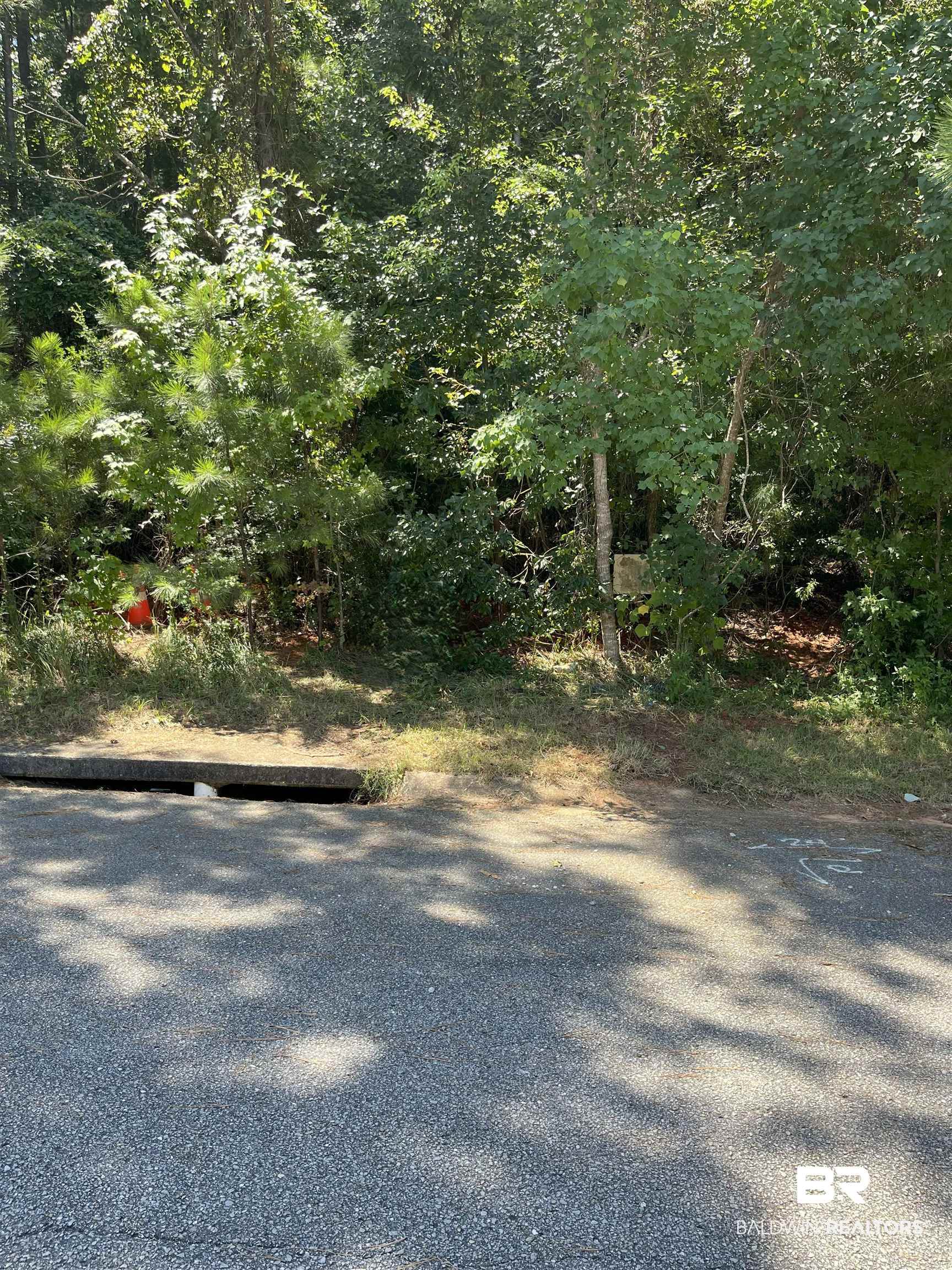 0 Raphael Semmes Drive East Daphne, AL 36527 - Photo 3 of 3