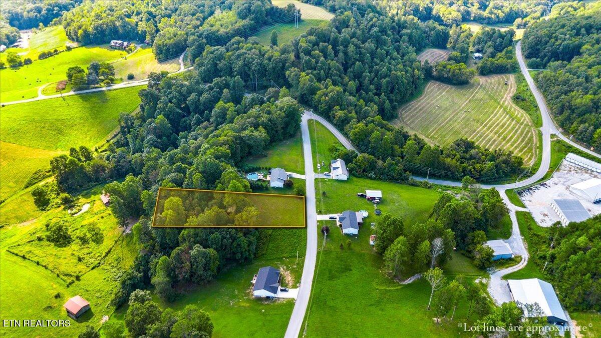 View Lane La Follette, TN 37766 - Photo 3 of 13 01-Cross View