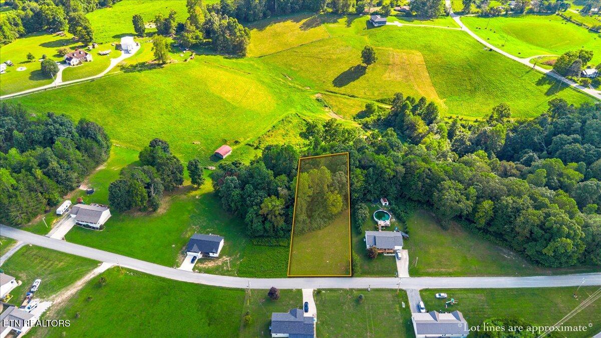 View Lane La Follette, TN 37766 - Photo 4 of 13 12-Cross View