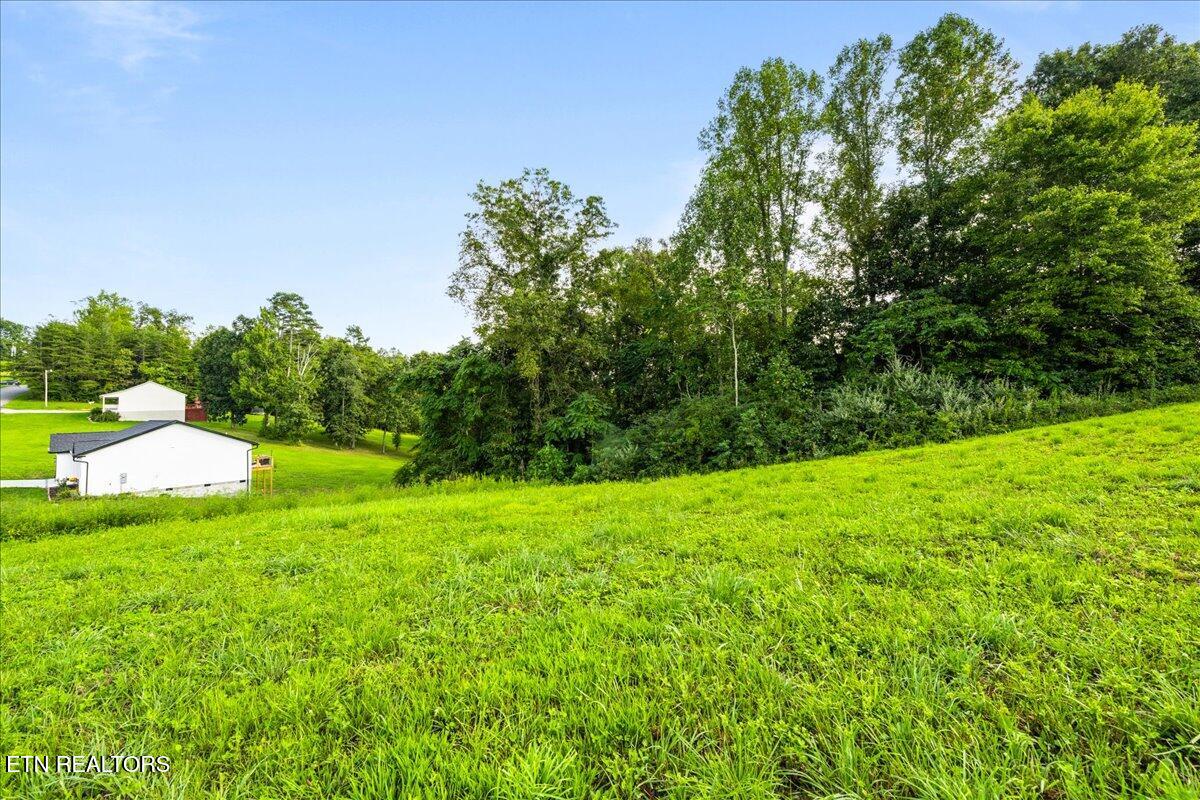 View Lane La Follette, TN 37766 - Photo 5 of 13 10-Cross View