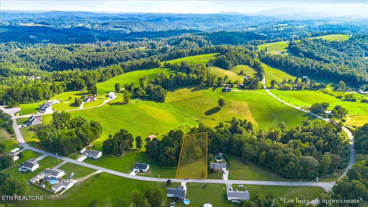 View Lane La Follette, TN 37766 - Photo 7 of 13 13-Cross View