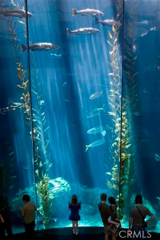 $938,800 | 800 East Ocean Boulevard, Unit 1505, Long Beach, CA 90802