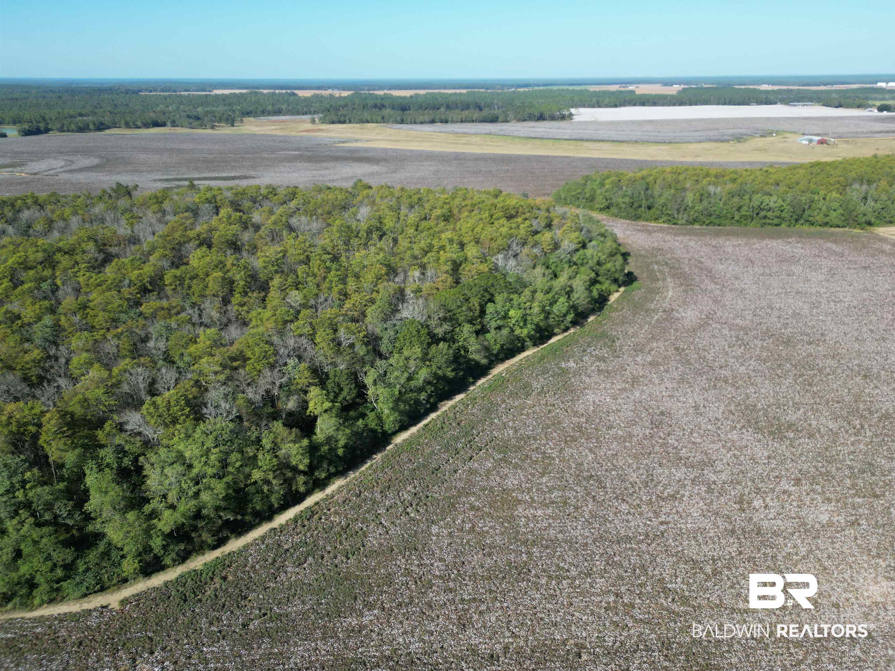 0 South Highway 99 Walnut Hill, FL 32568 - Photo 11 of 18 Bird's eye view