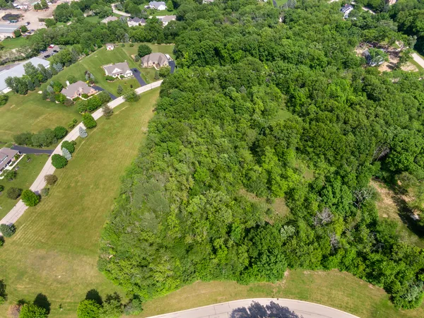 a view of a yard