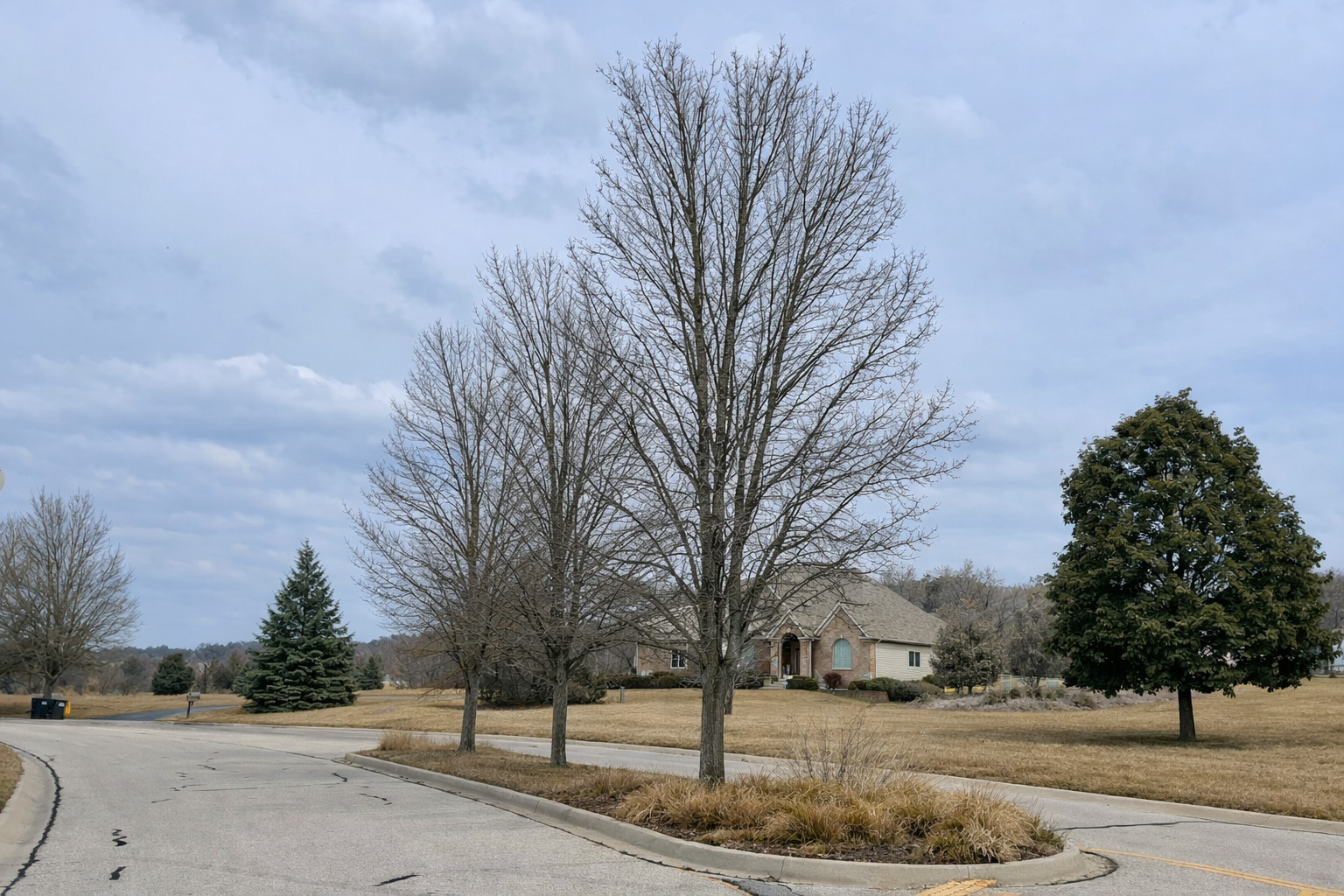 1971 Red Oak Lane Spring Grove, IL 60081 - Photo 2 of 6