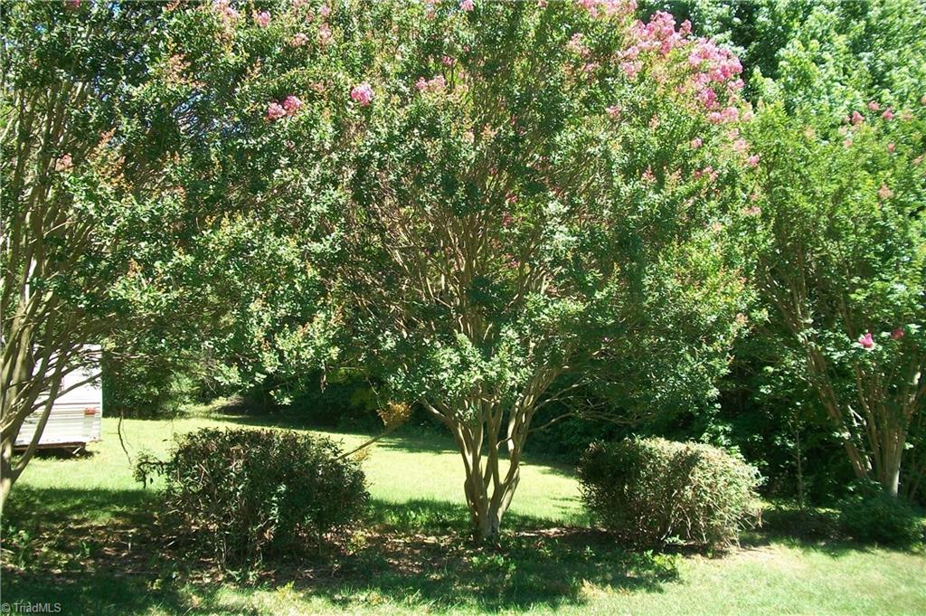 765 North Clodfelter Road High Point, NC 27265 - Photo 18 of 30 Gallery Image 18