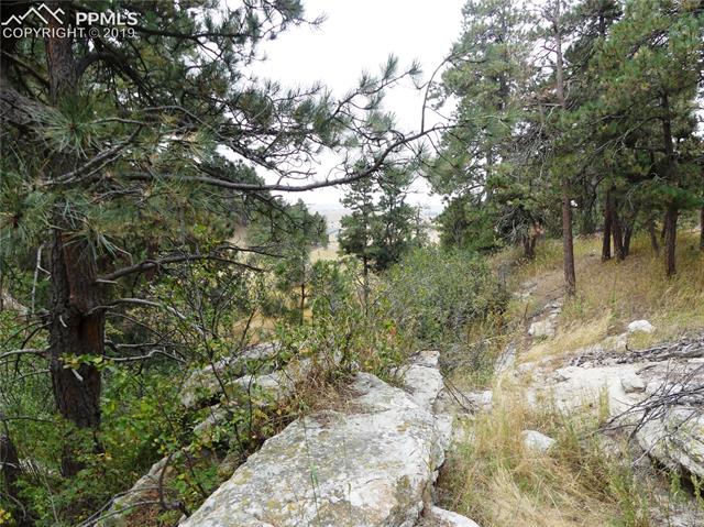 18115 Cumbres Road Peyton, CO 80831 - Photo 13 of 16 Gallery Image 13