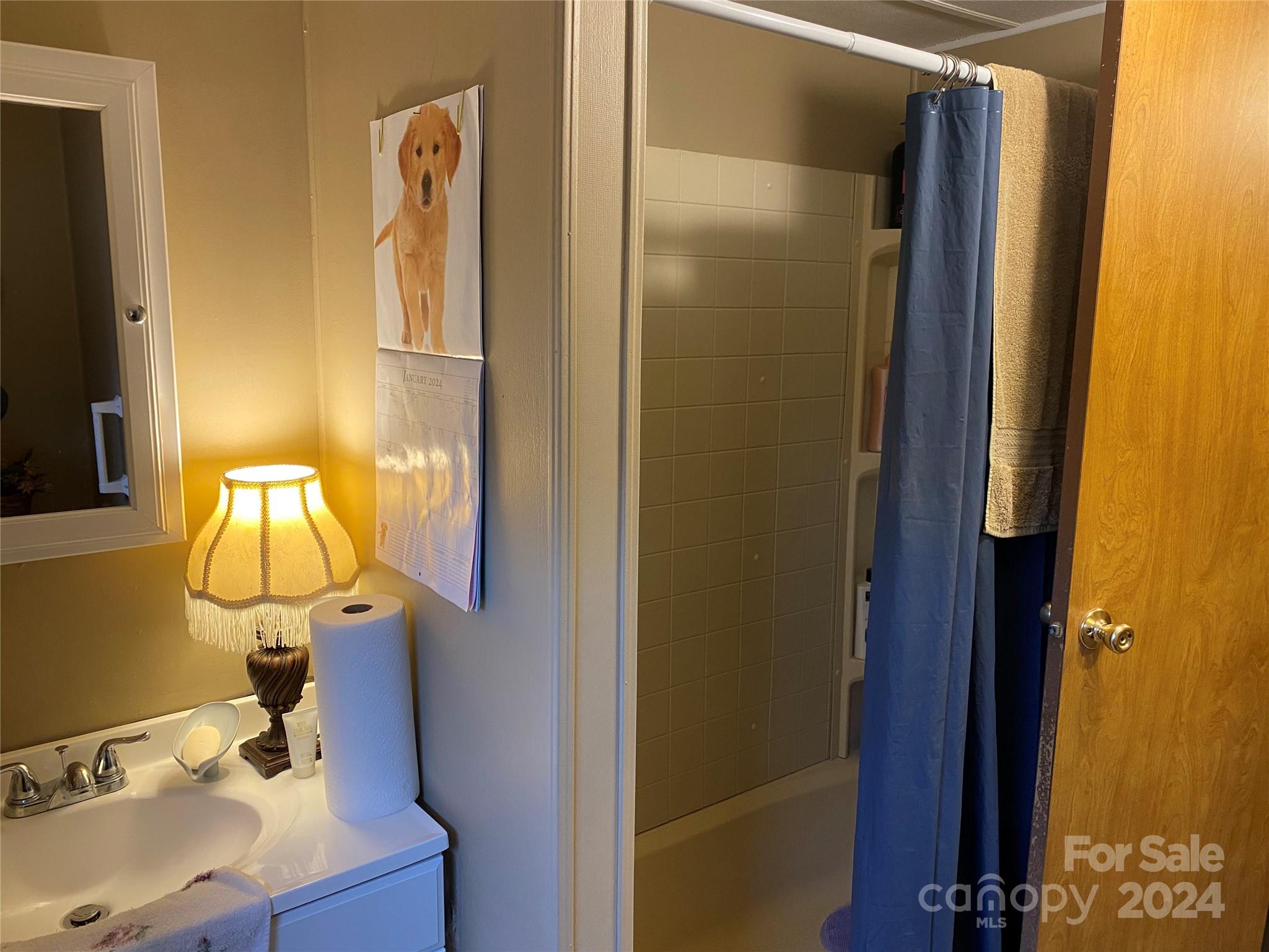 1715 Hopewell Church Road Hiddenite, NC 28636 - Photo 20 of 46 a bathroom with a sink vanity and a mirror