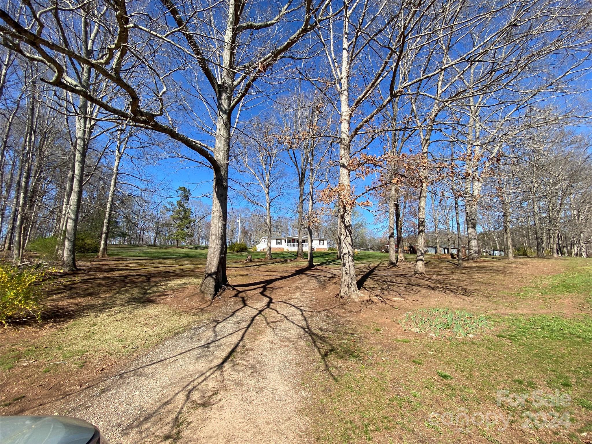 1715 Hopewell Church Road Hiddenite, NC 28636 - Photo 39 of 46 a view of a yard with a tree