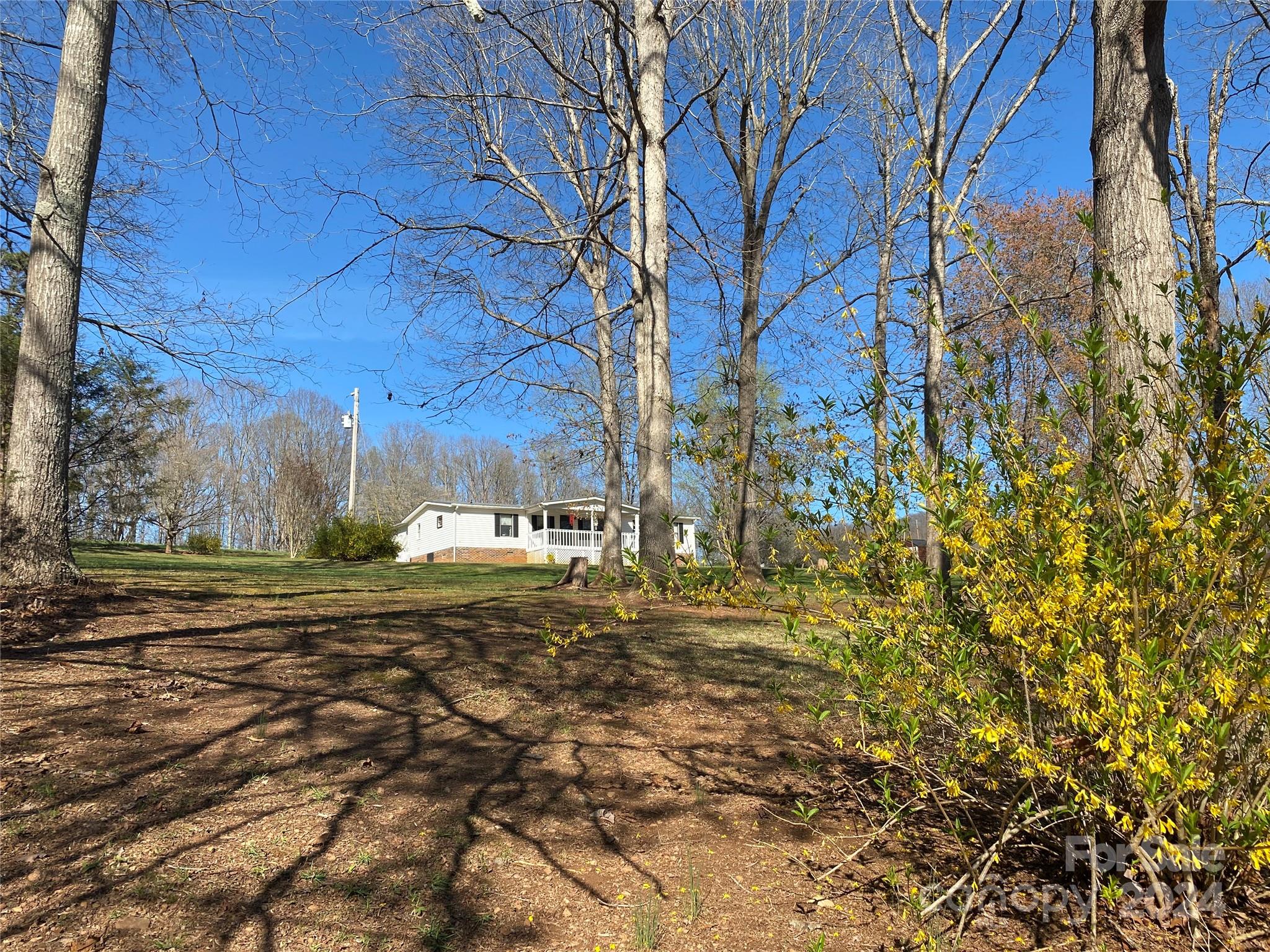 1715 Hopewell Church Road Hiddenite, NC 28636 - Photo 40 of 46 a view of a yard with a tree