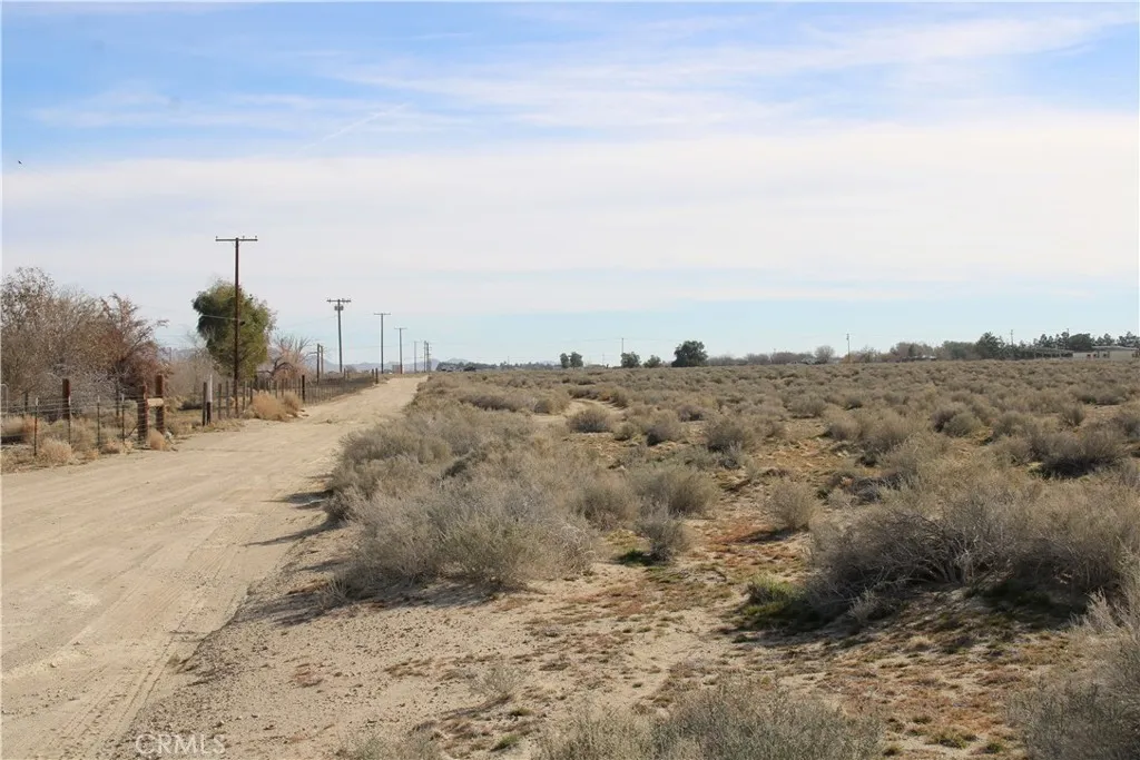 19 Sunrise Road Lucerne Valley, CA 92356 - Photo 4 of 15 a view of a dry yard with trees