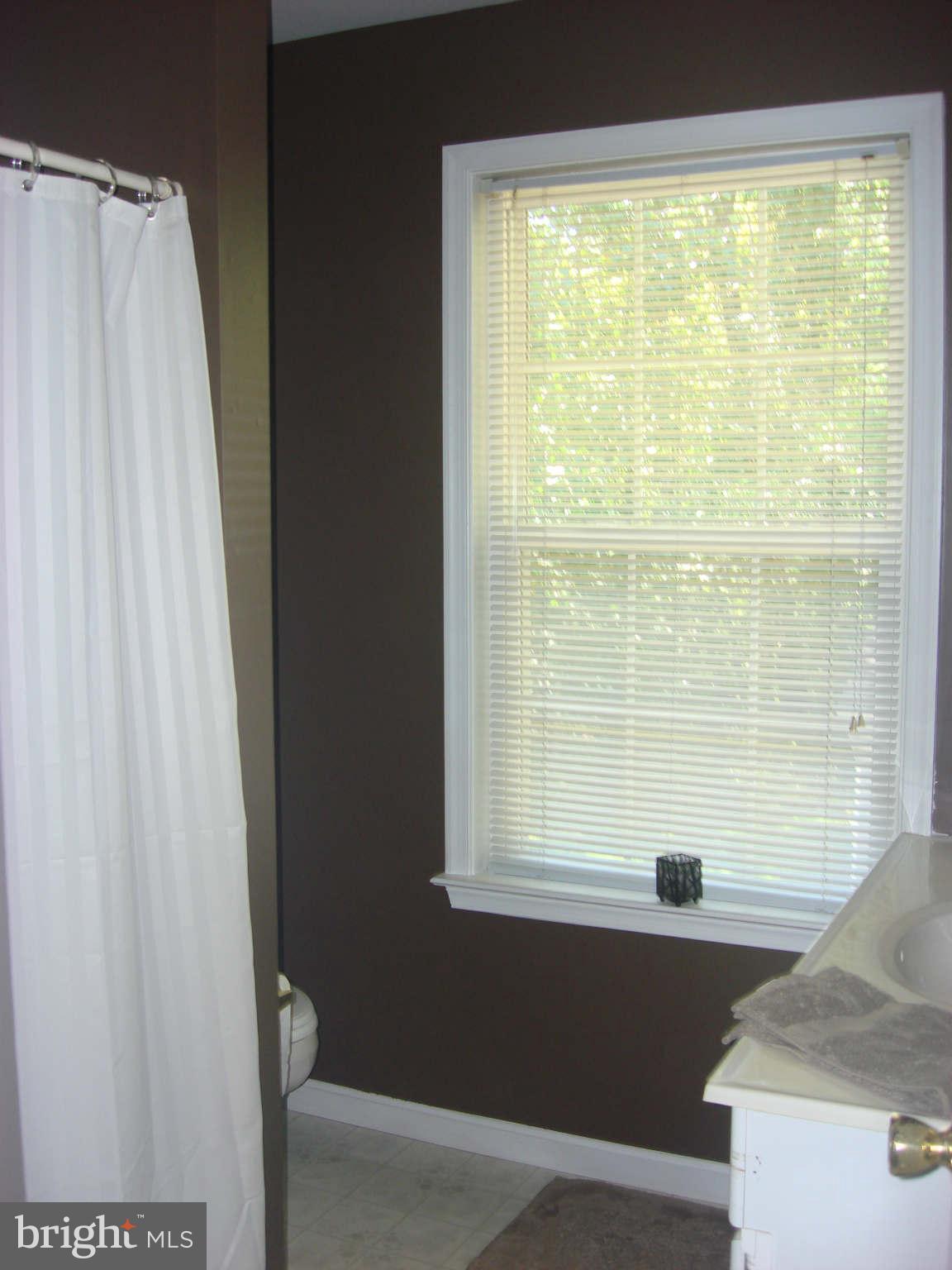 1675 Dalrymple Road Sunderland, MD 20689 - Photo 25 of 30 Bath (Master)
